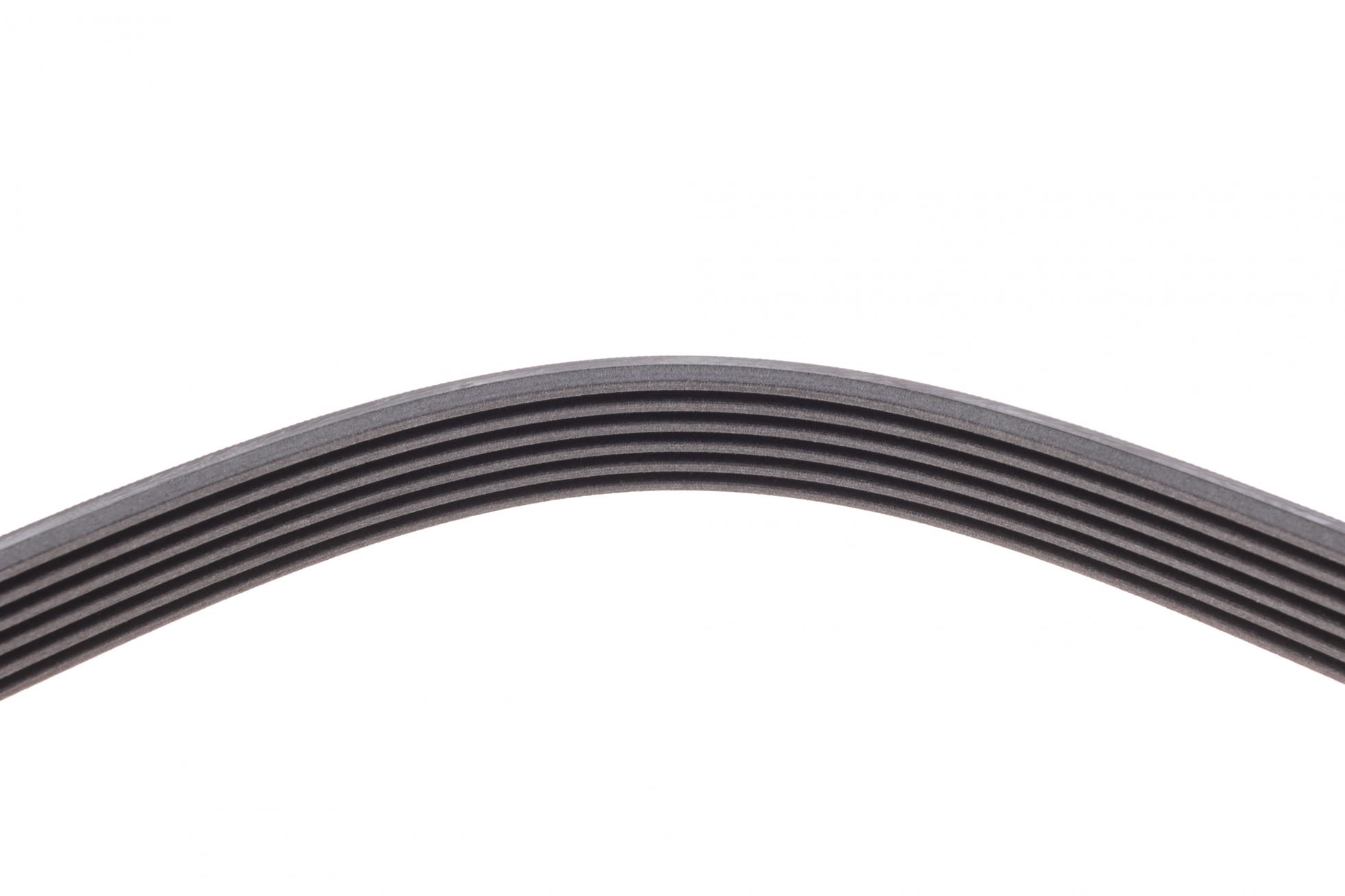 6PK1613 CONTITECH