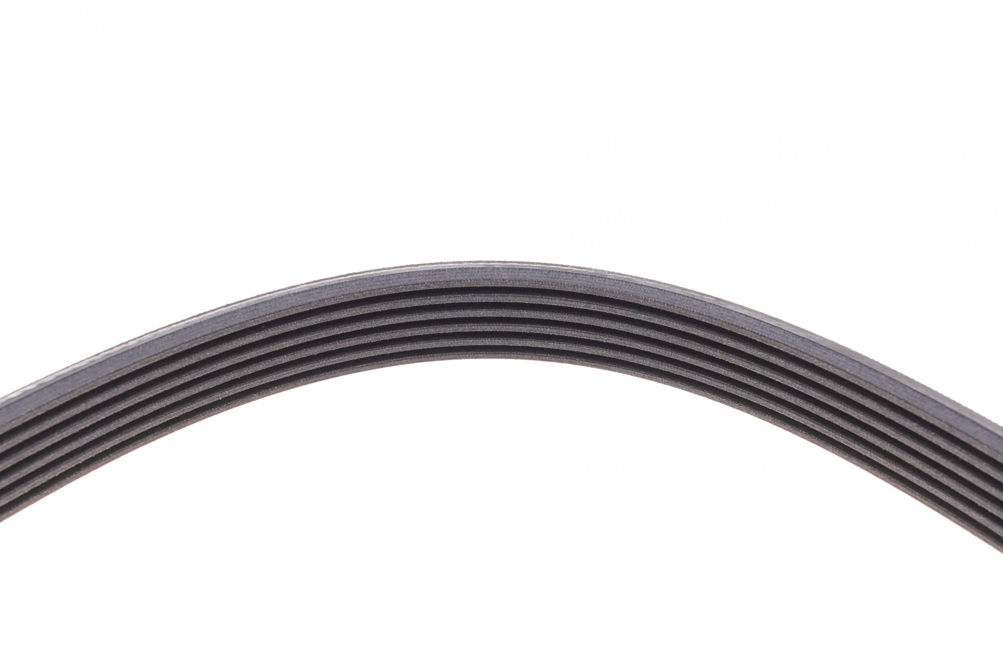 6PK1635 CONTITECH