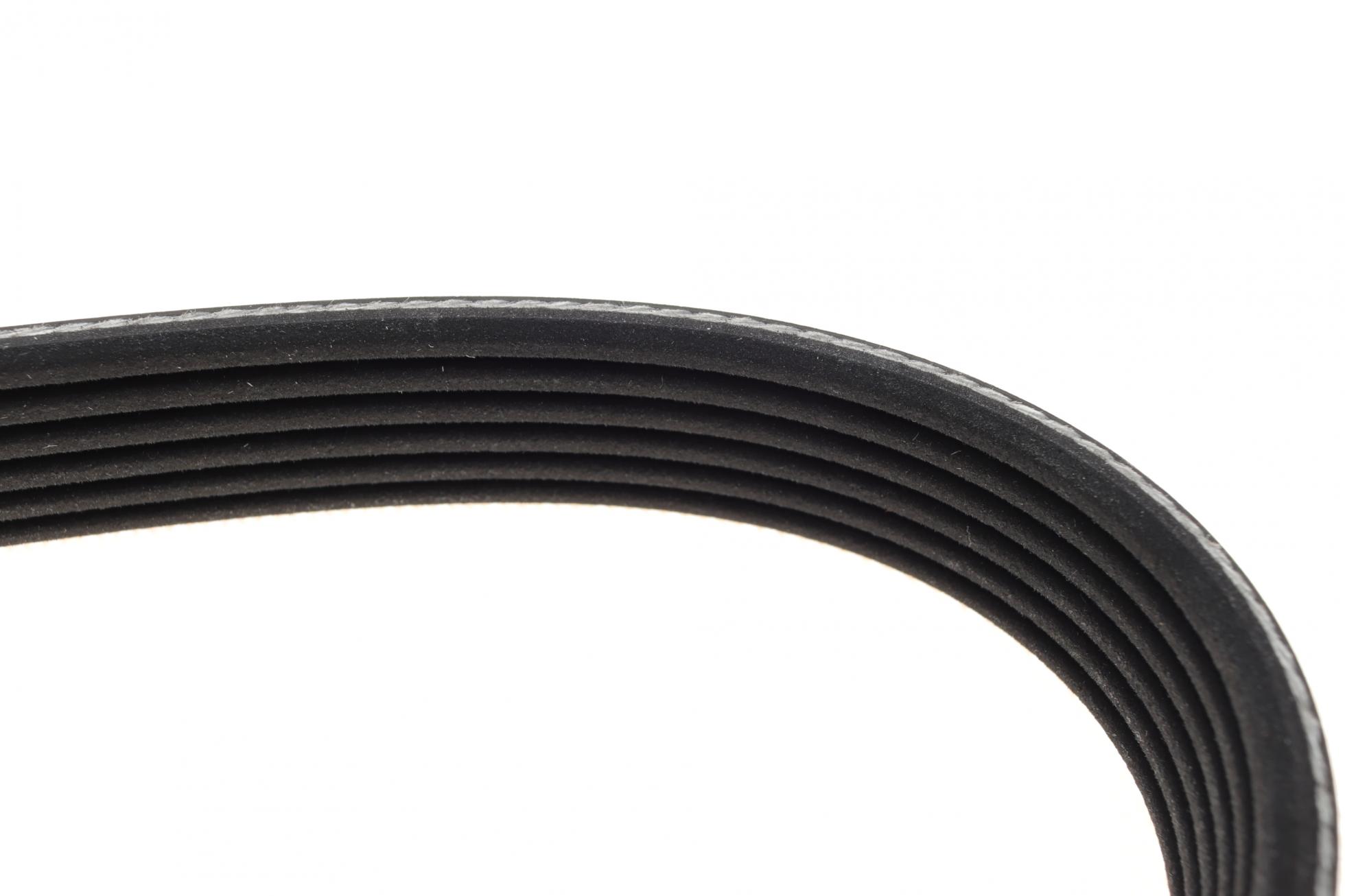 6PK1635 DAYCO