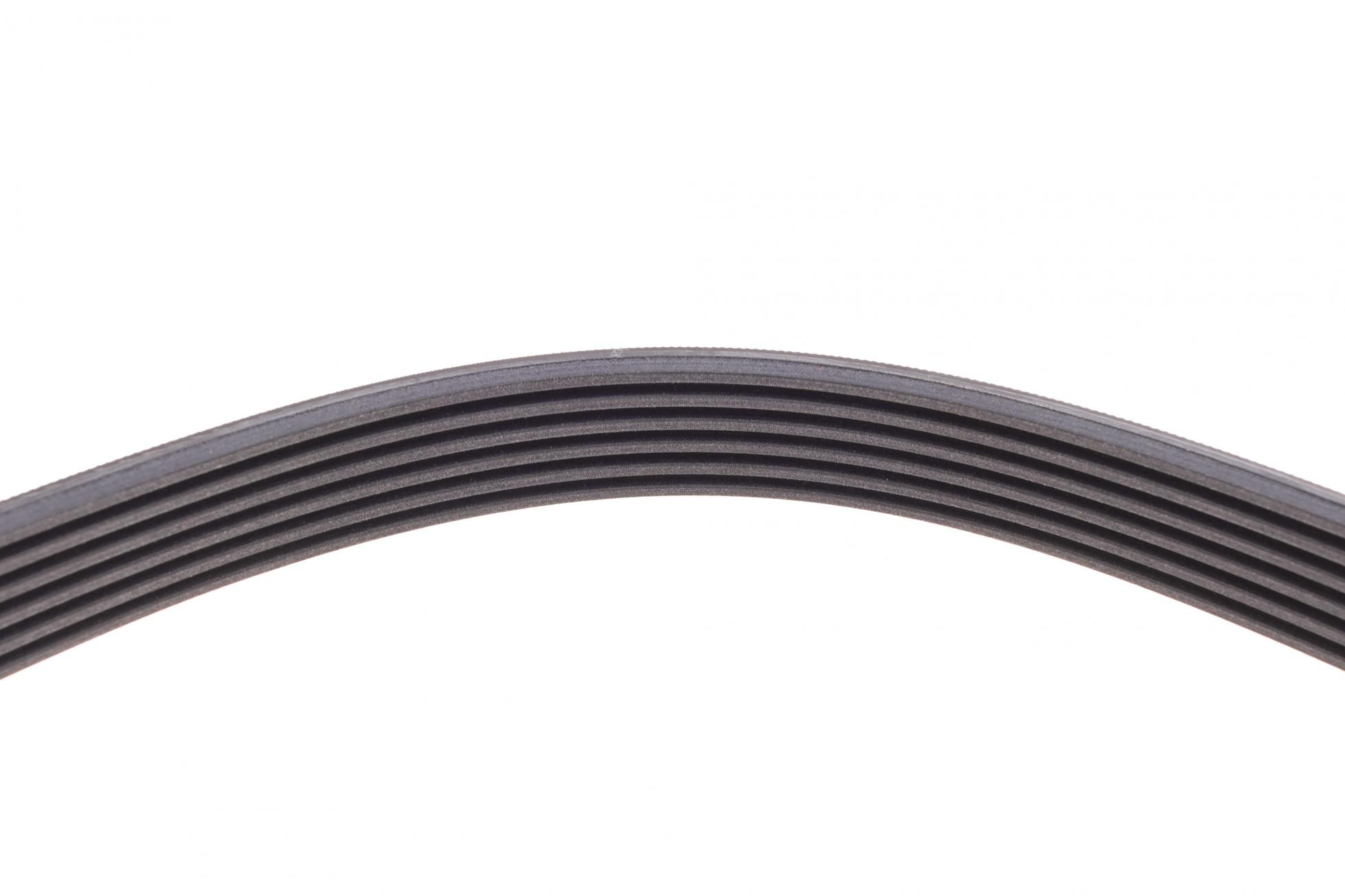 6PK1653 CONTITECH