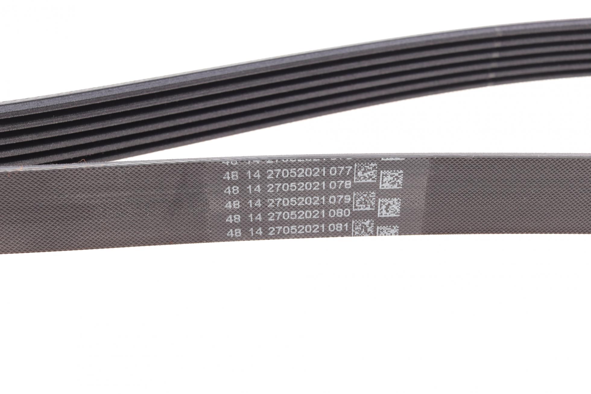 6PK1698 CONTITECH