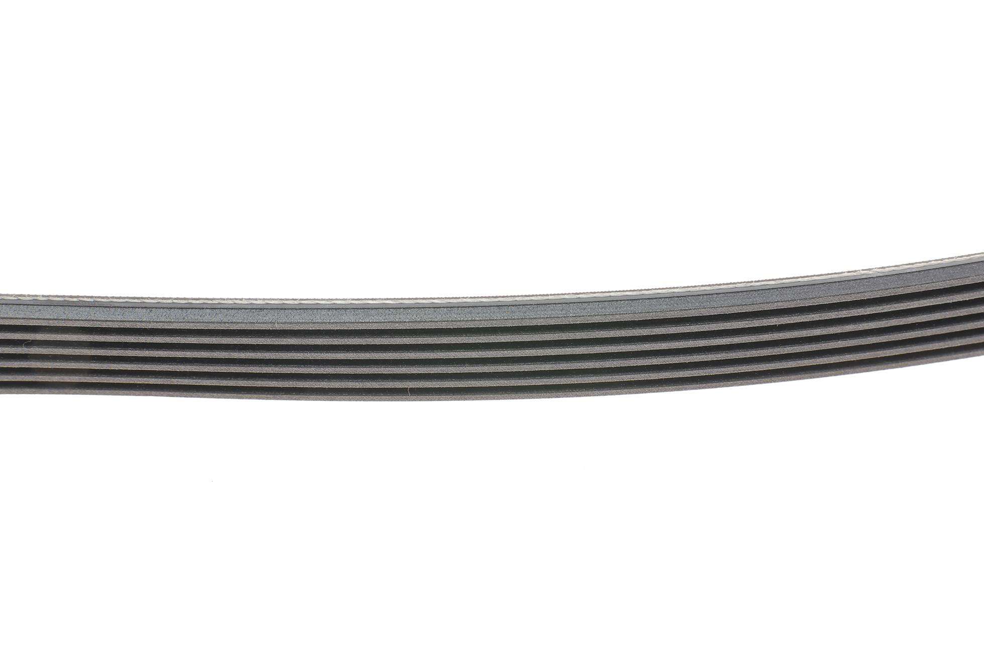 6PK1725 CONTITECH