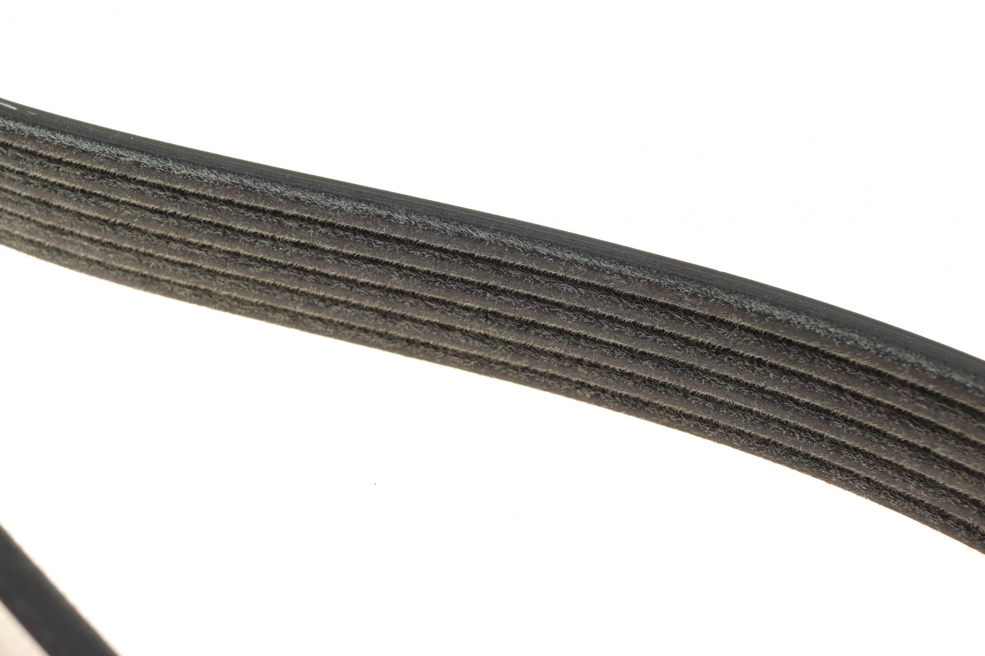 6PK1750 DAYCO