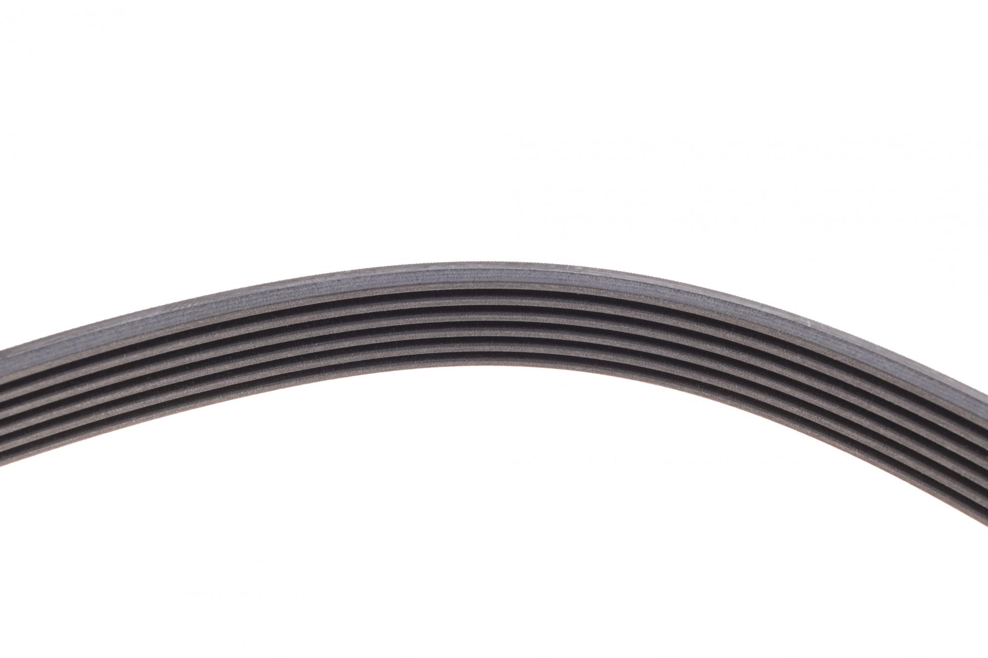 6PK1755 CONTITECH