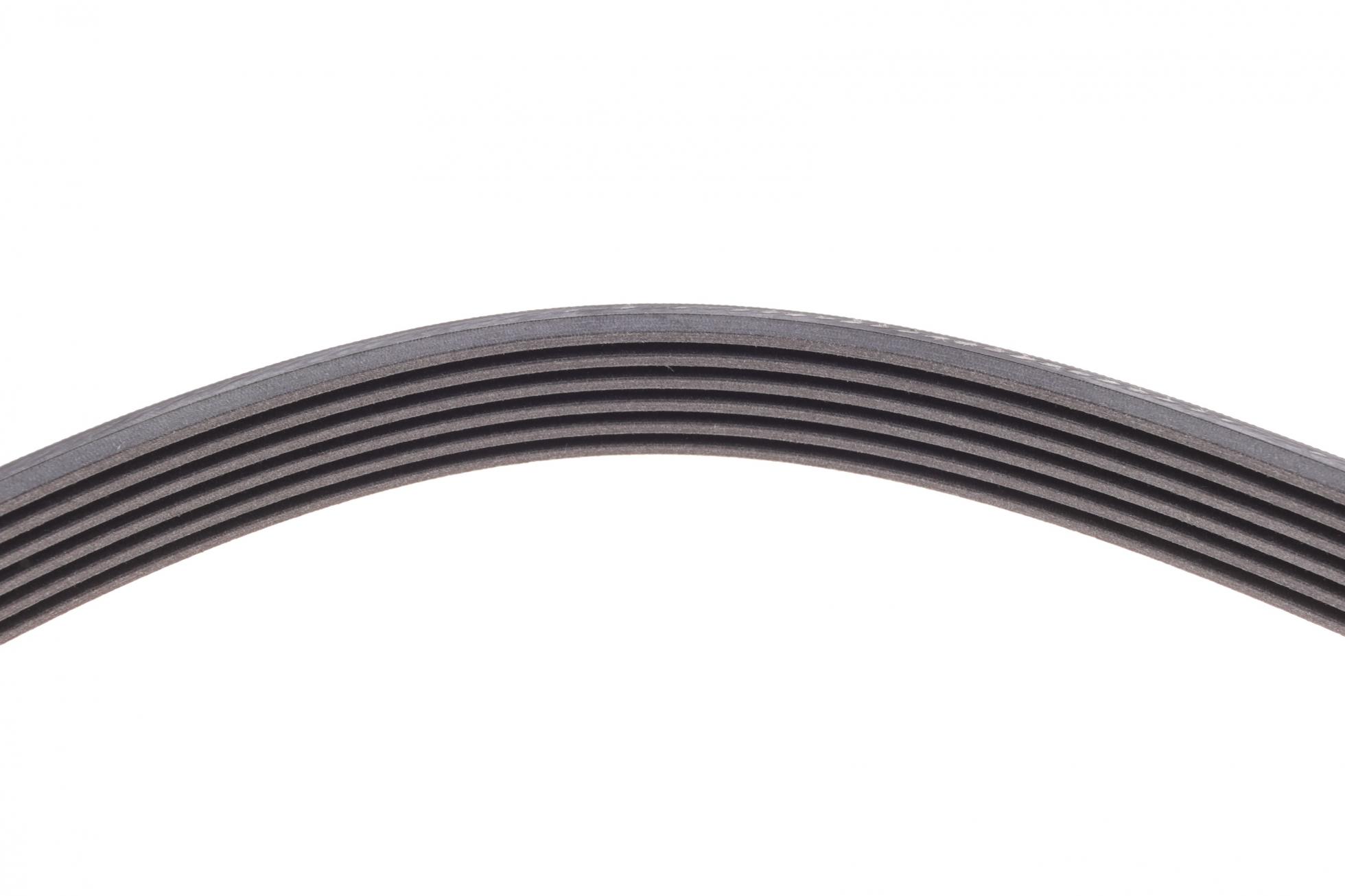 6PK1795 CONTITECH