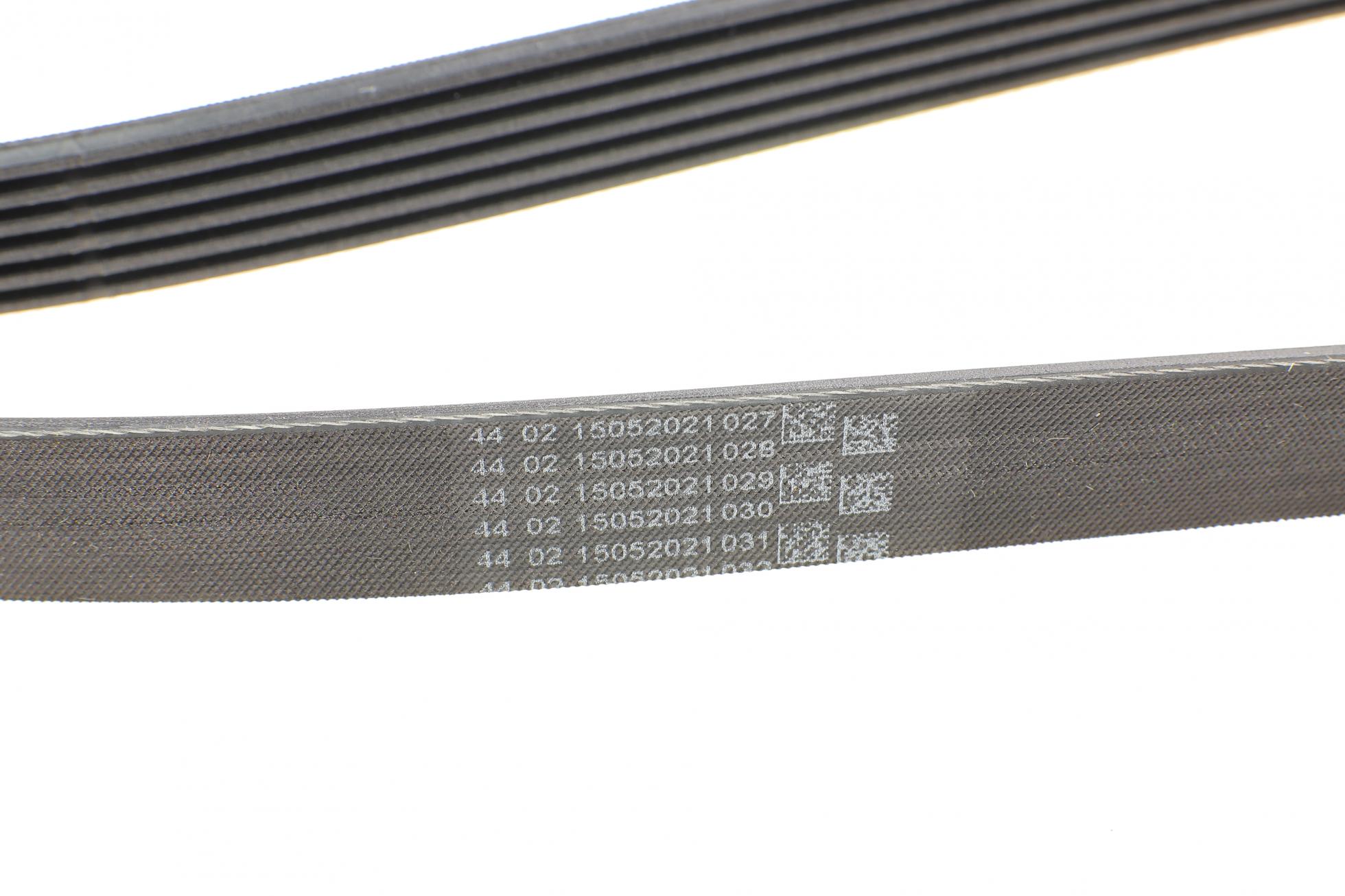 6PK1800 CONTITECH