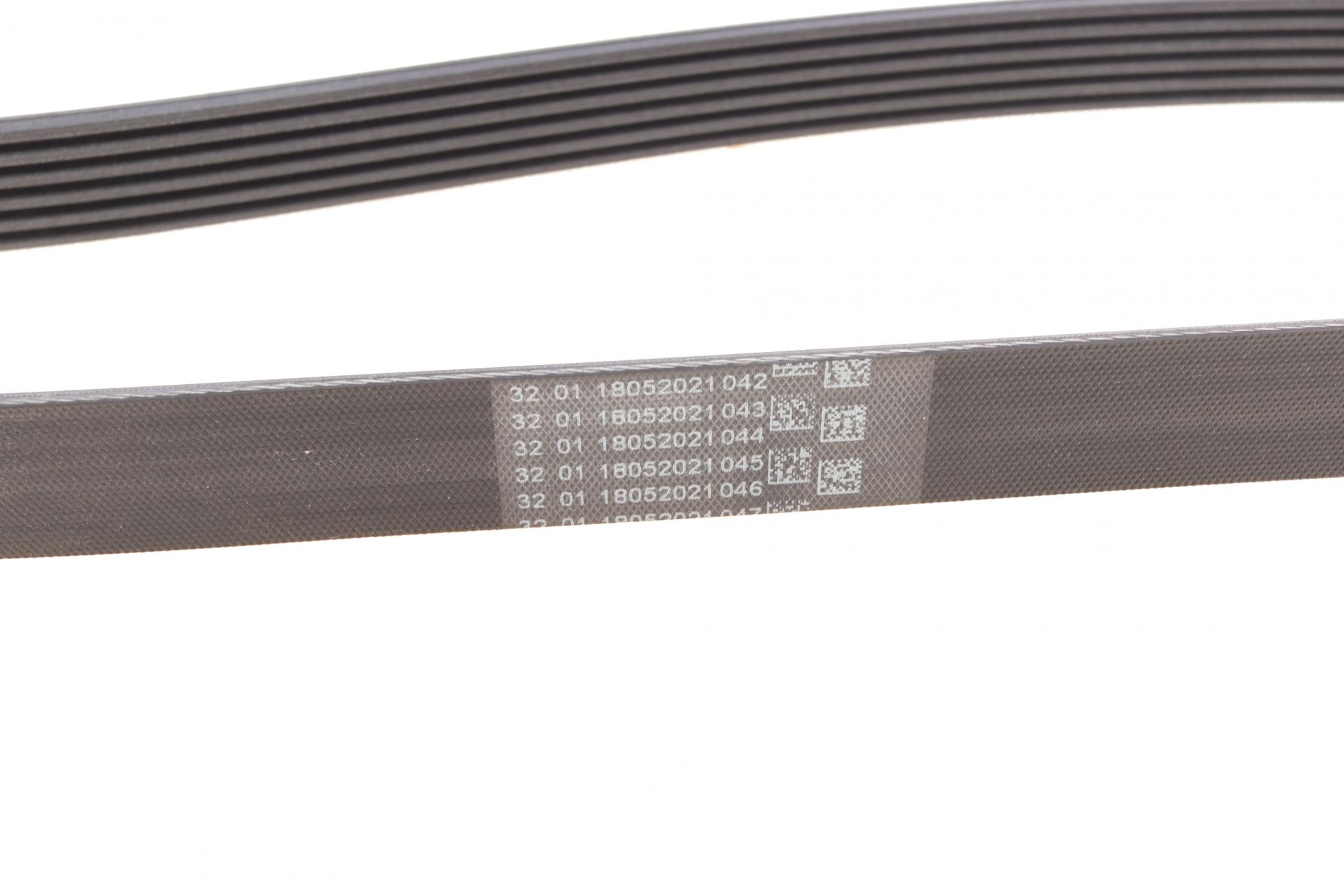 6PK1805 CONTITECH