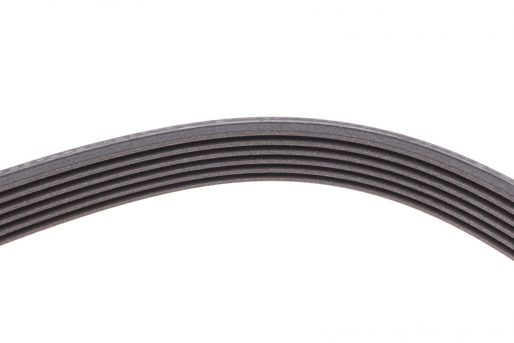 6PK1815 CONTITECH