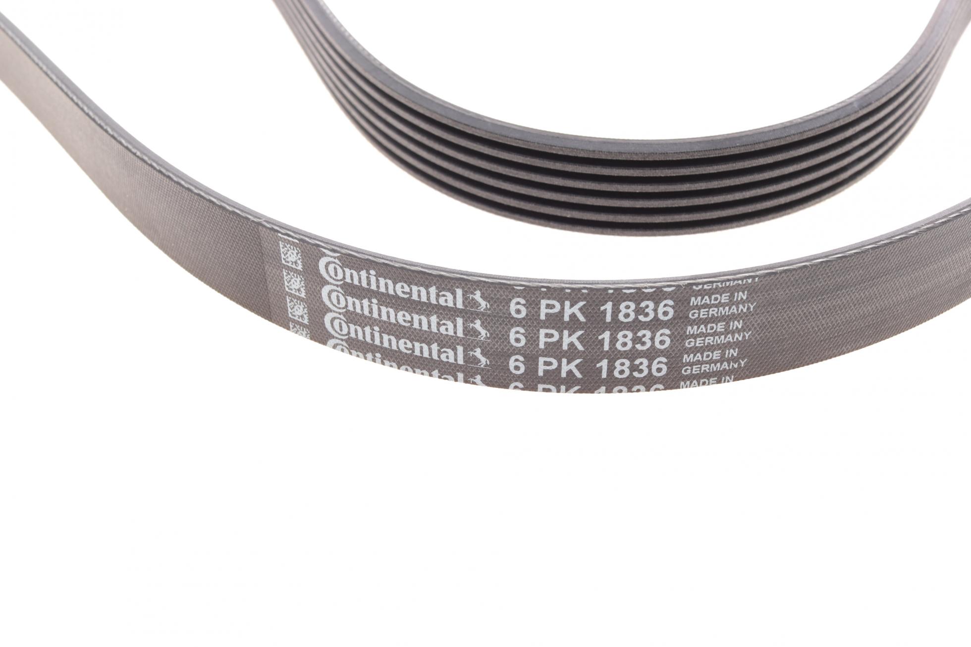 6PK1836 CONTITECH