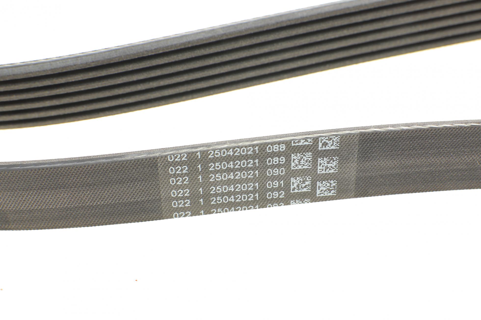 6PK2013 CONTITECH