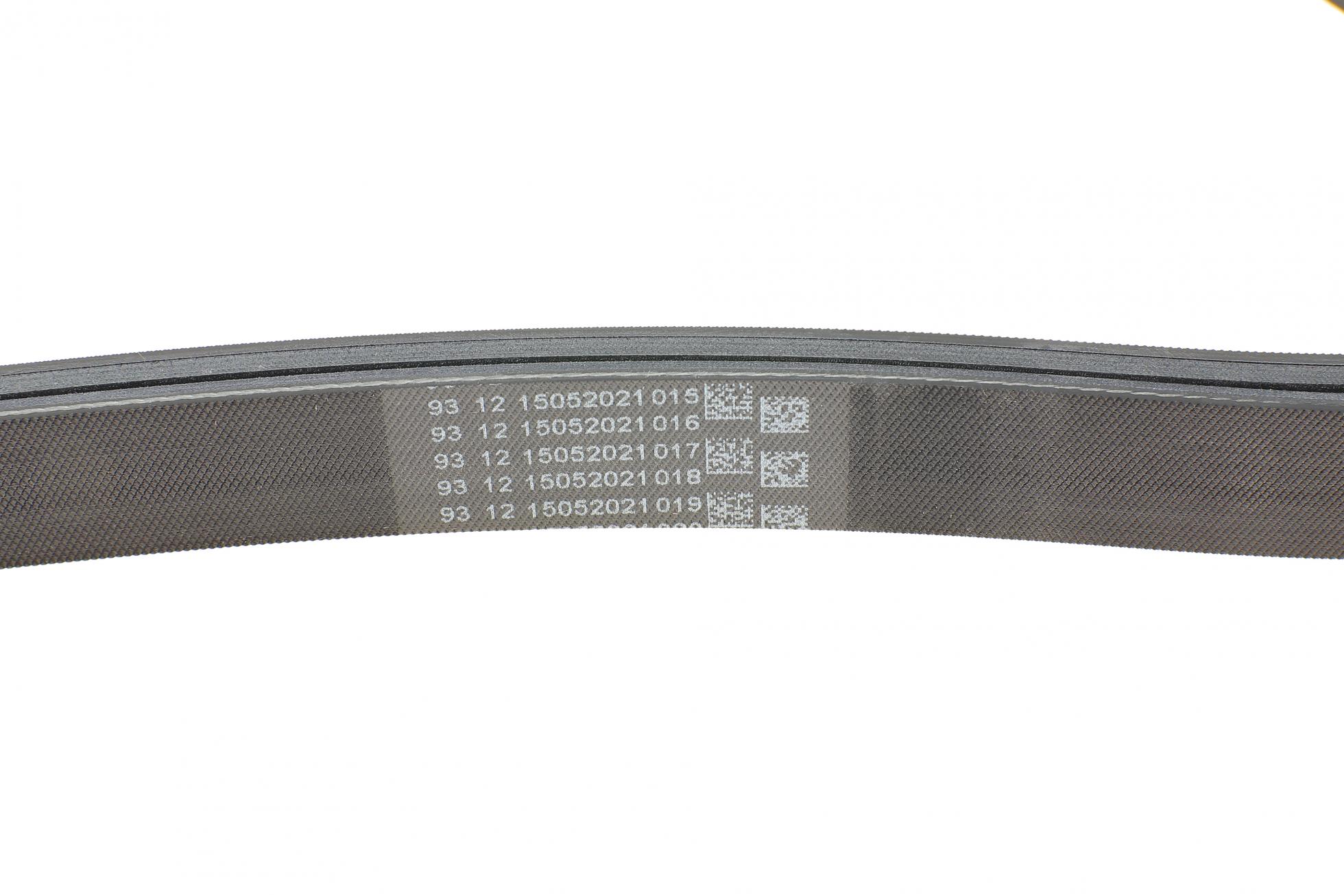 6PK2020 CONTITECH
