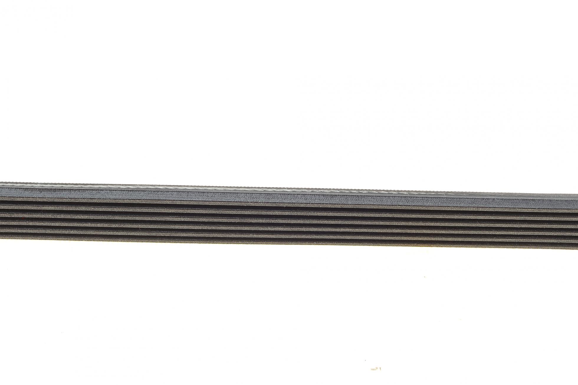 6PK2155 Contitech