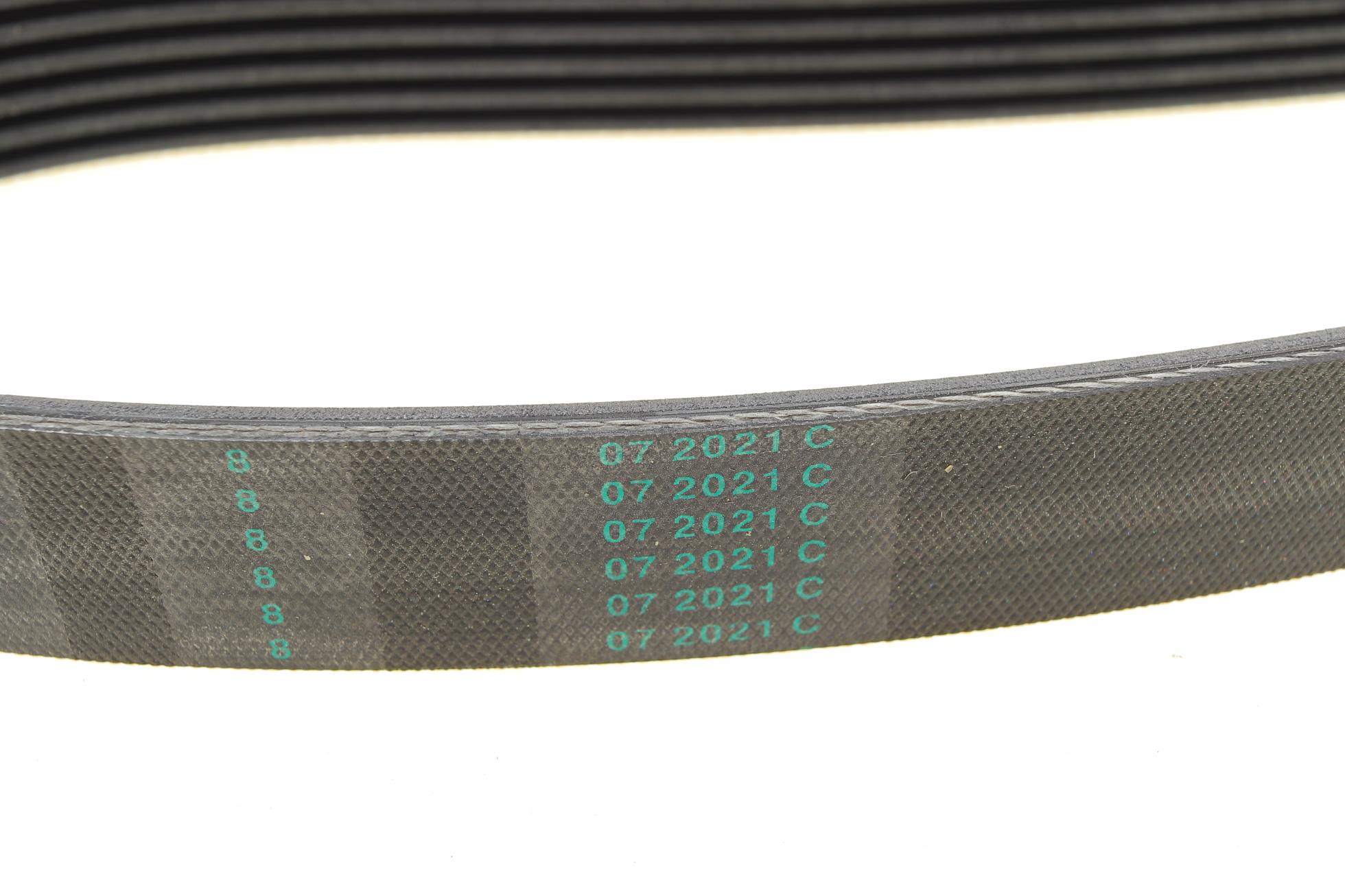 6PK2155 Contitech
