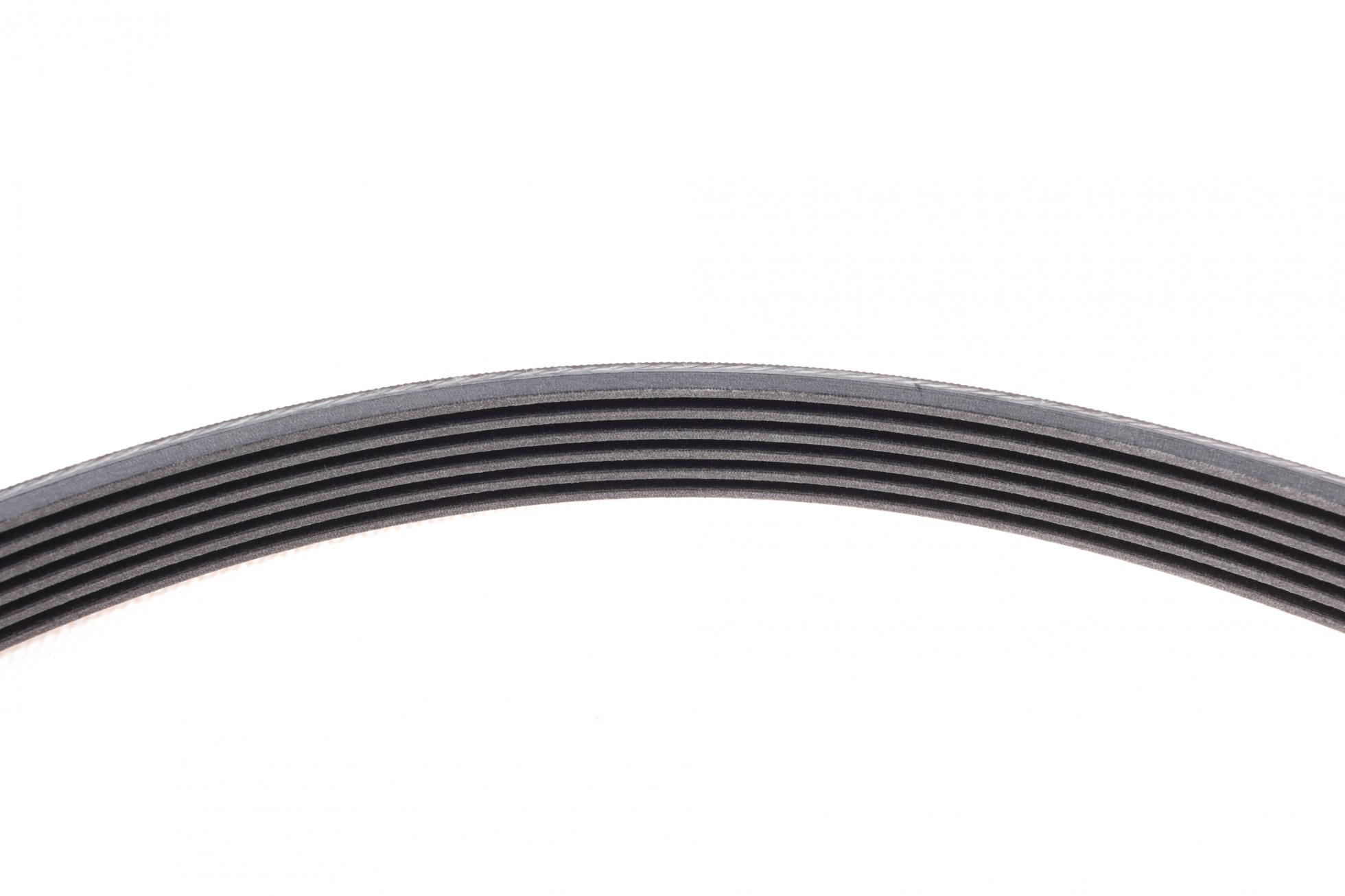 6PK2528 CONTITECH