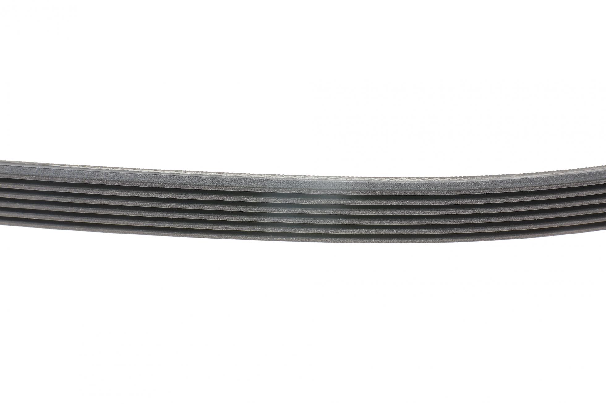 6PK2550 CONTITECH