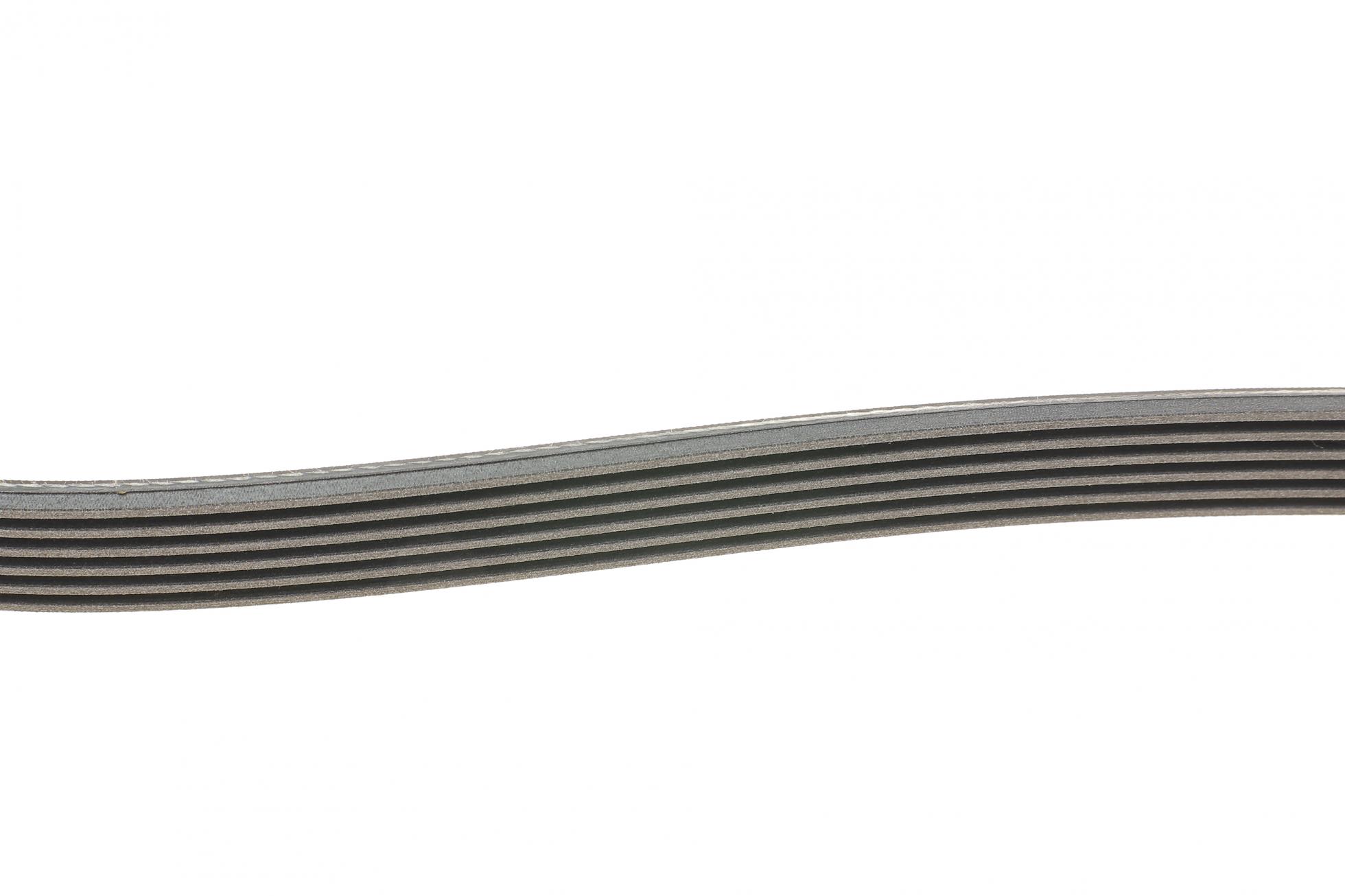 6PK2581 CONTITECH