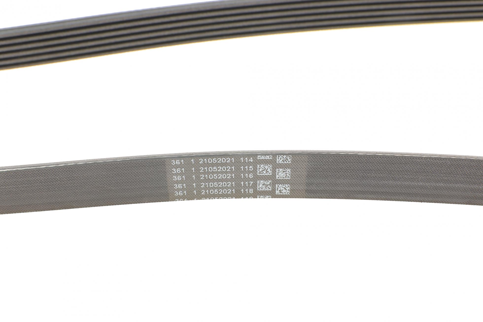 6PK2581 CONTITECH