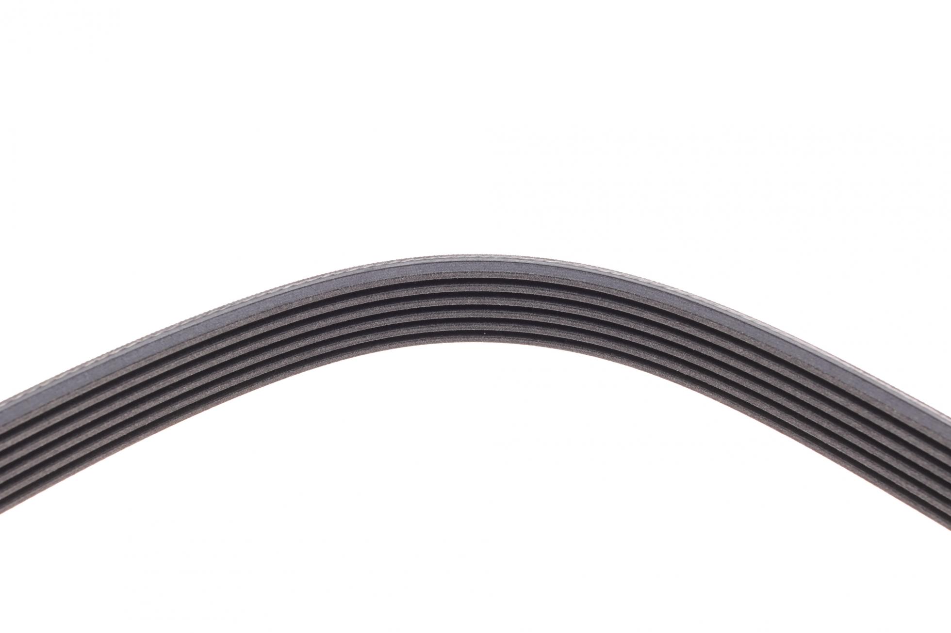 6PK2585 CONTITECH