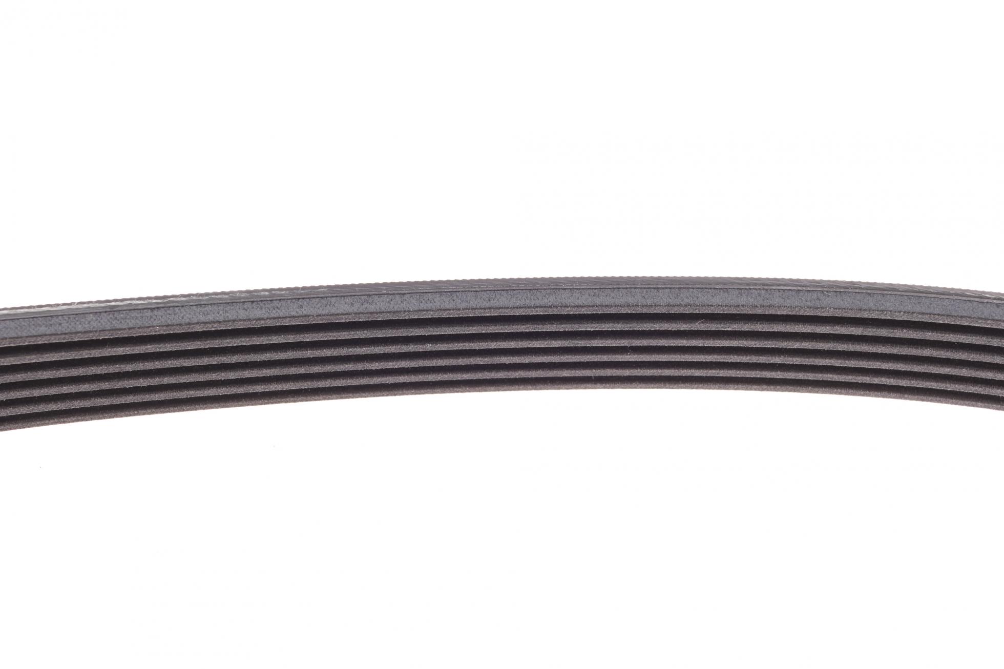 6PK698 CONTITECH