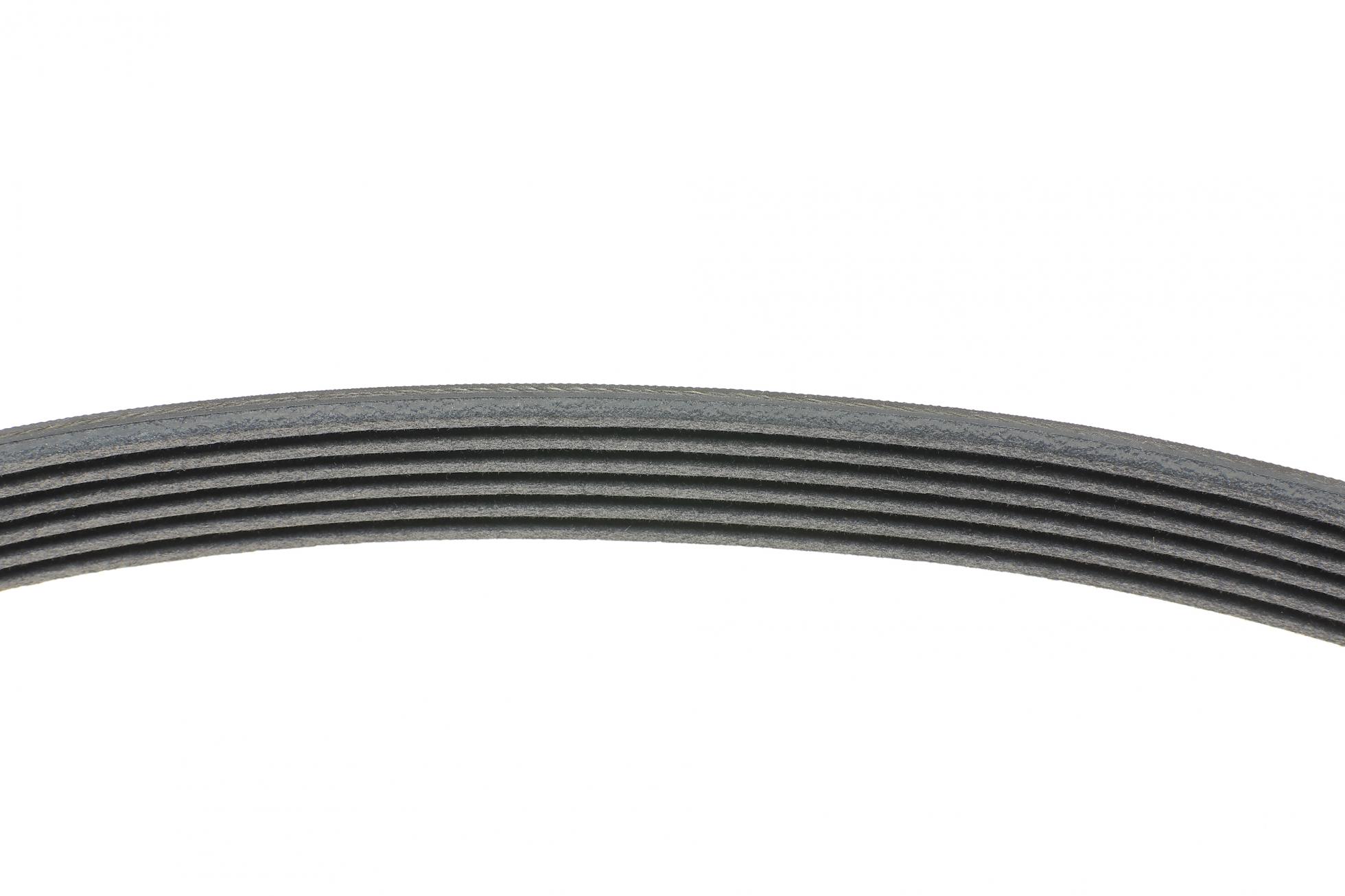 6PK701ELAST CONTITECH