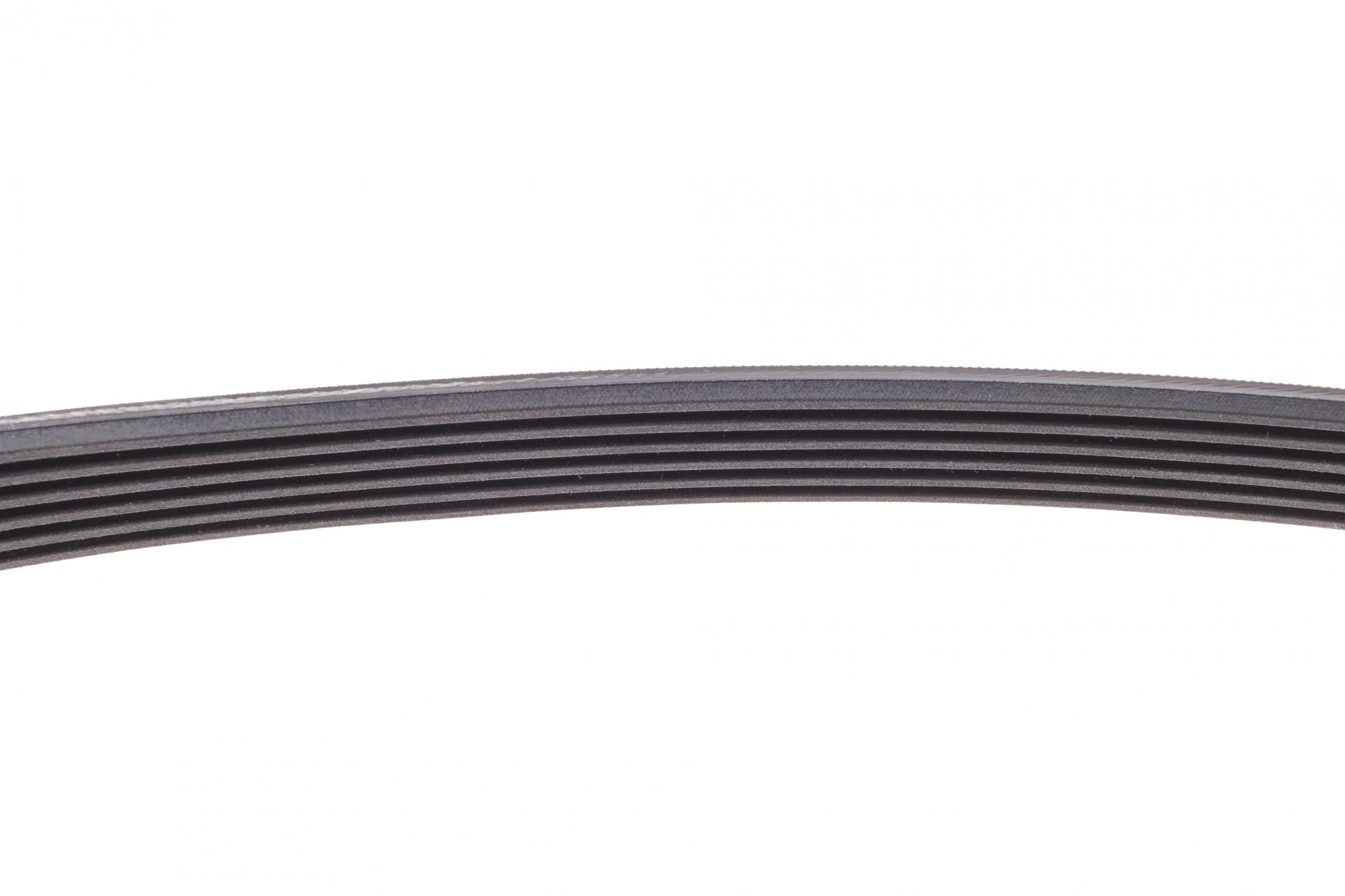6PK730 CONTITECH