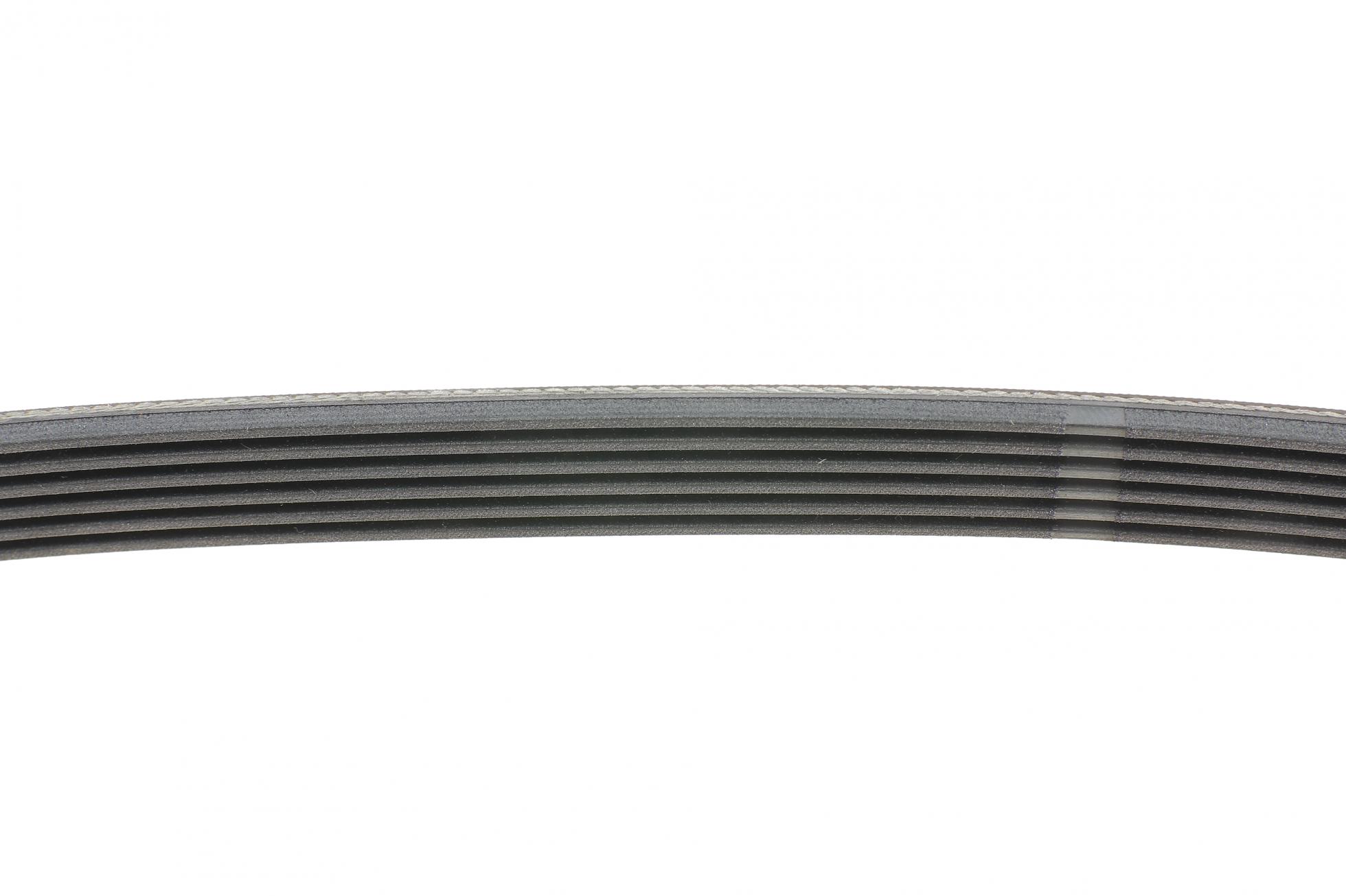 6PK836 CONTITECH