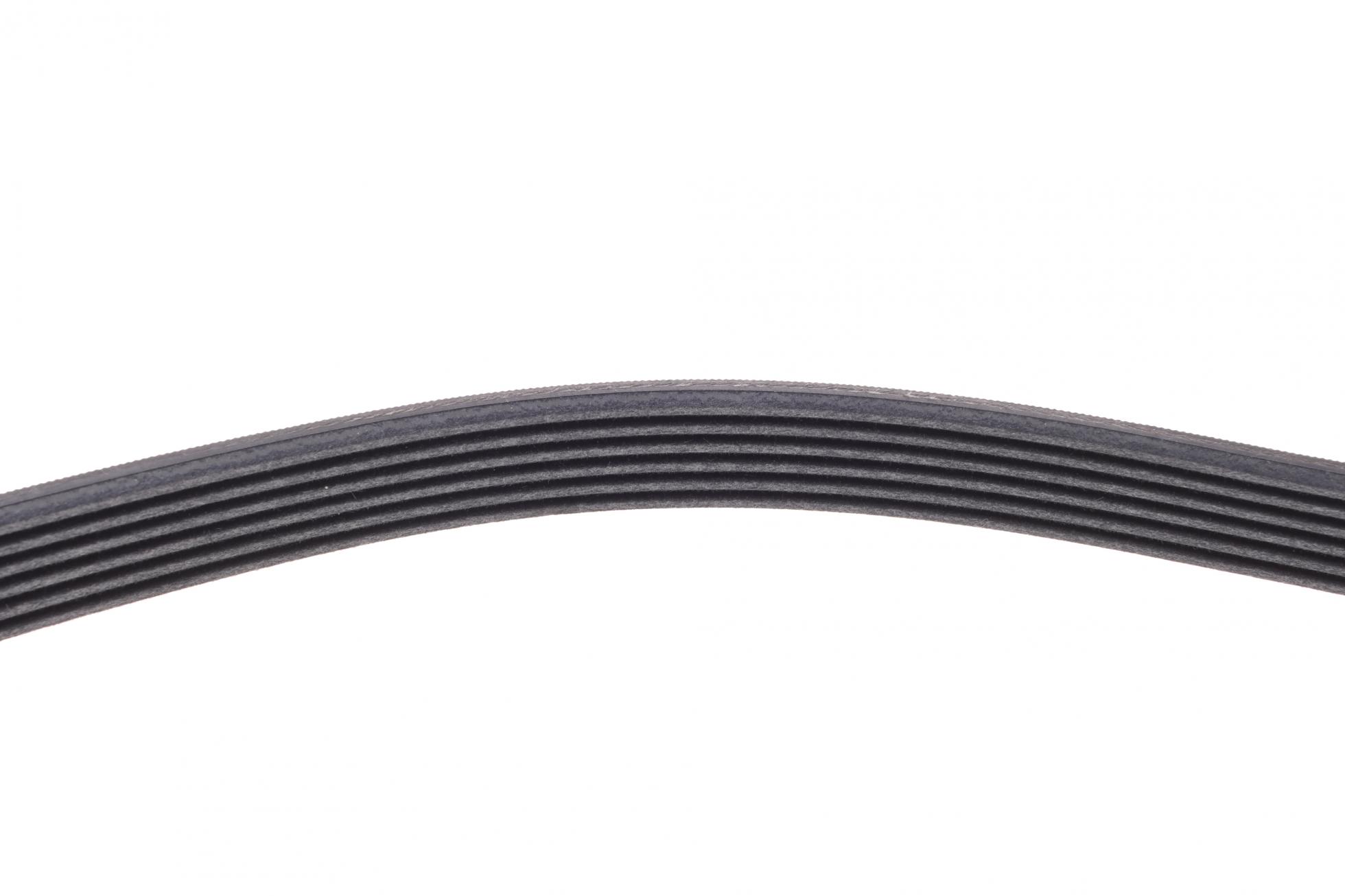 6PK842ELAST CONTITECH
