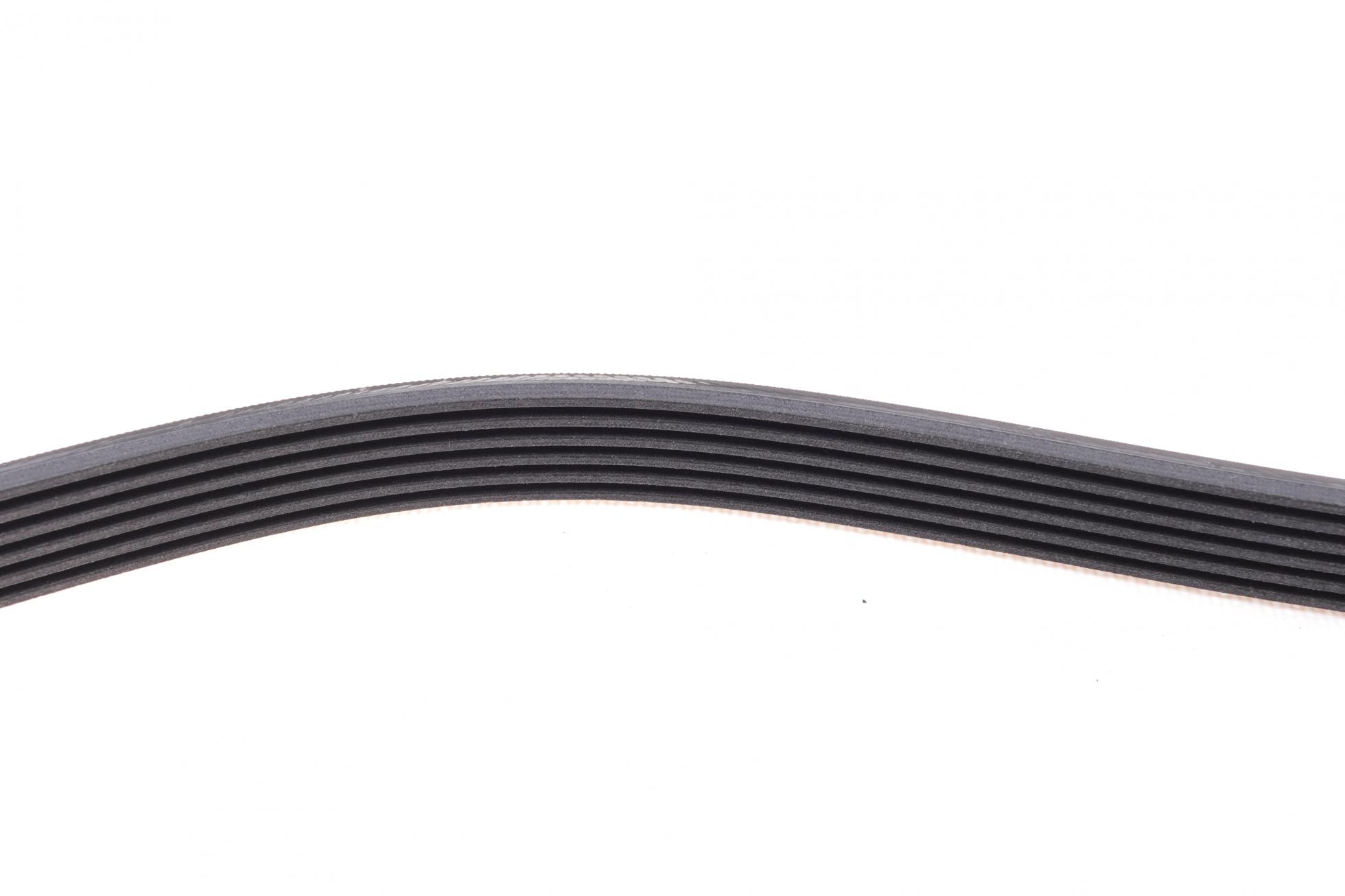6PK844 CONTITECH