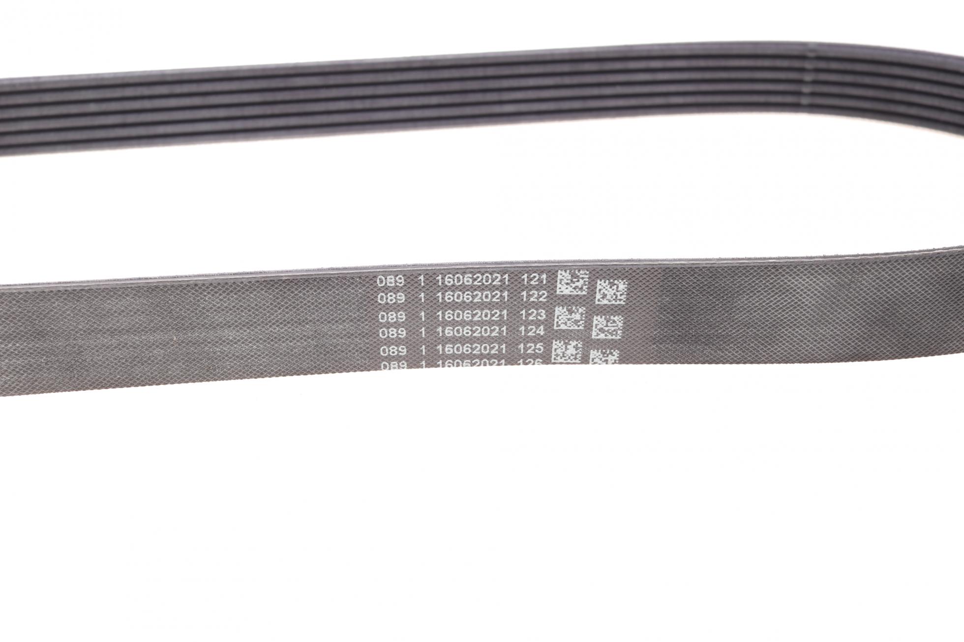 6PK873ELAST CONTITECH