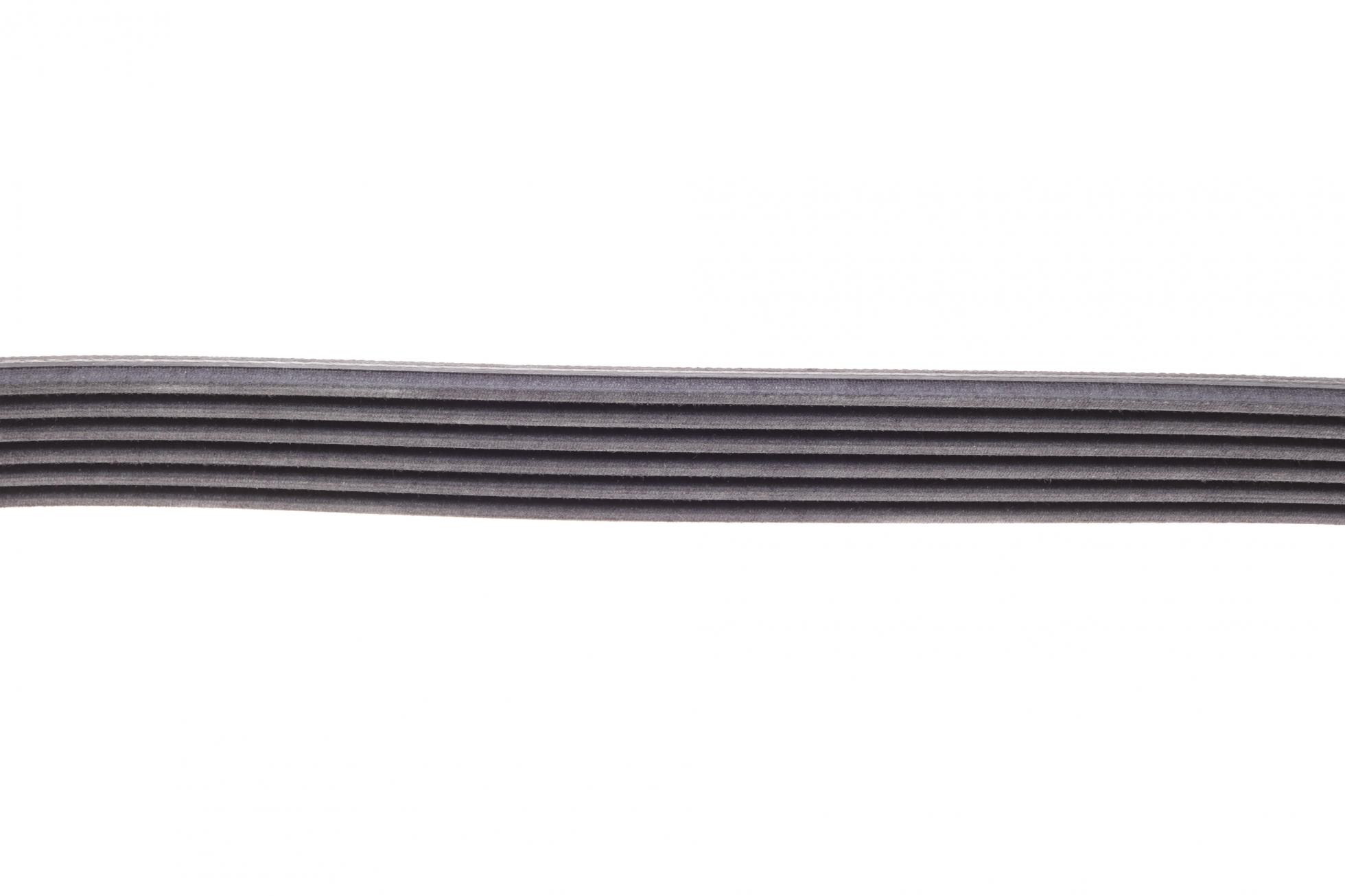 6PK873ELAST CONTITECH