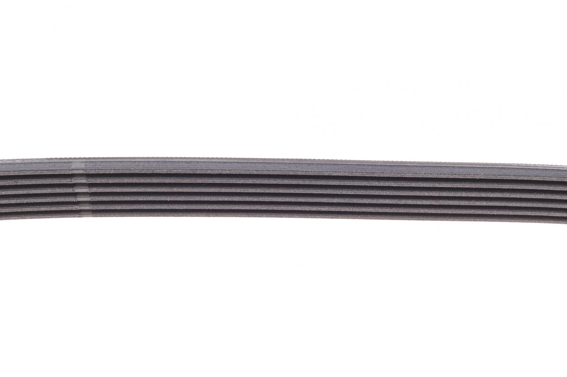 6PK875 CONTITECH