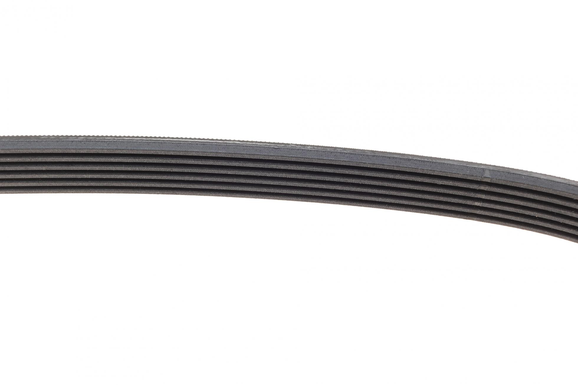 6PK880 CONTITECH