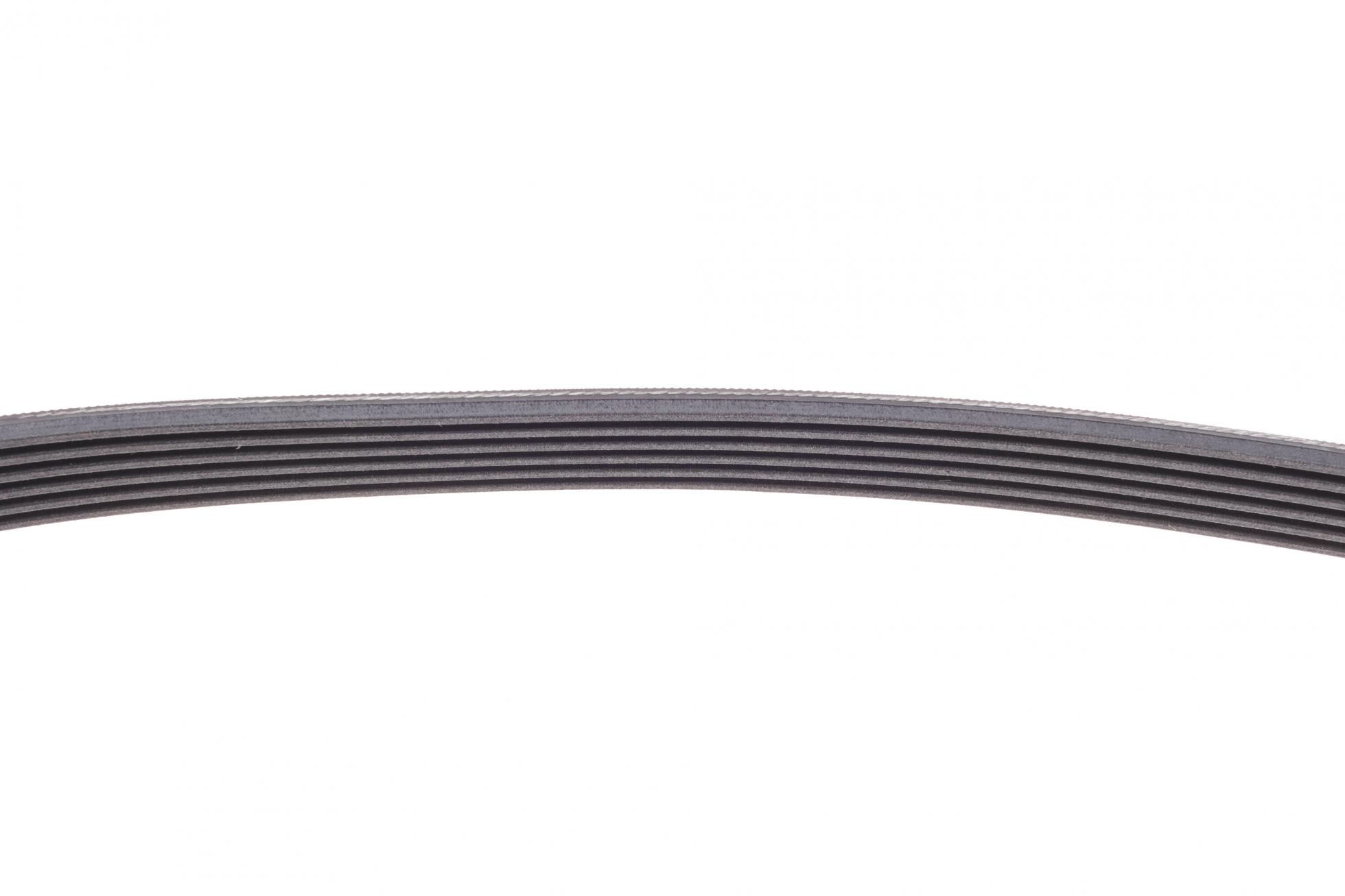 6PK884 CONTITECH