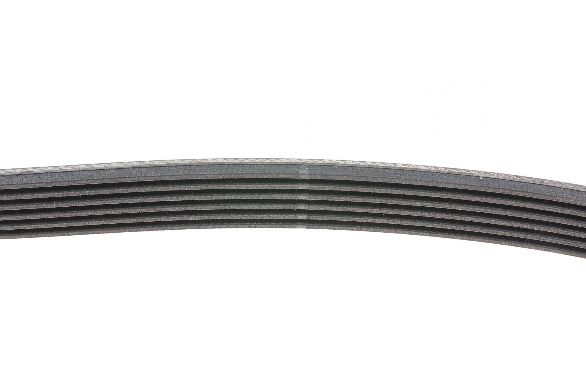 6PK890 CONTITECH