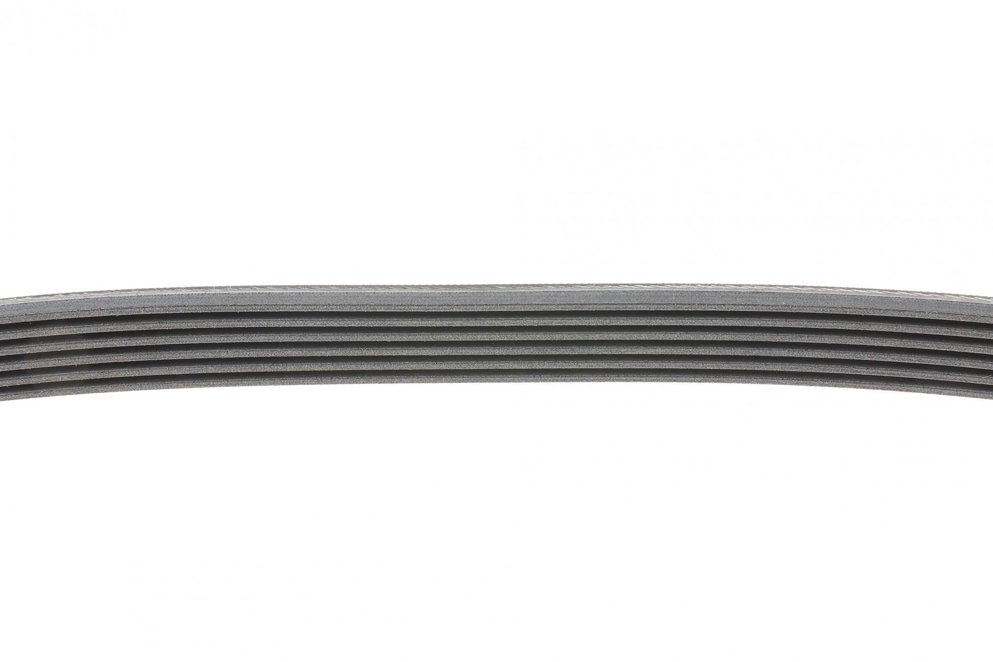 6PK894 CONTITECH