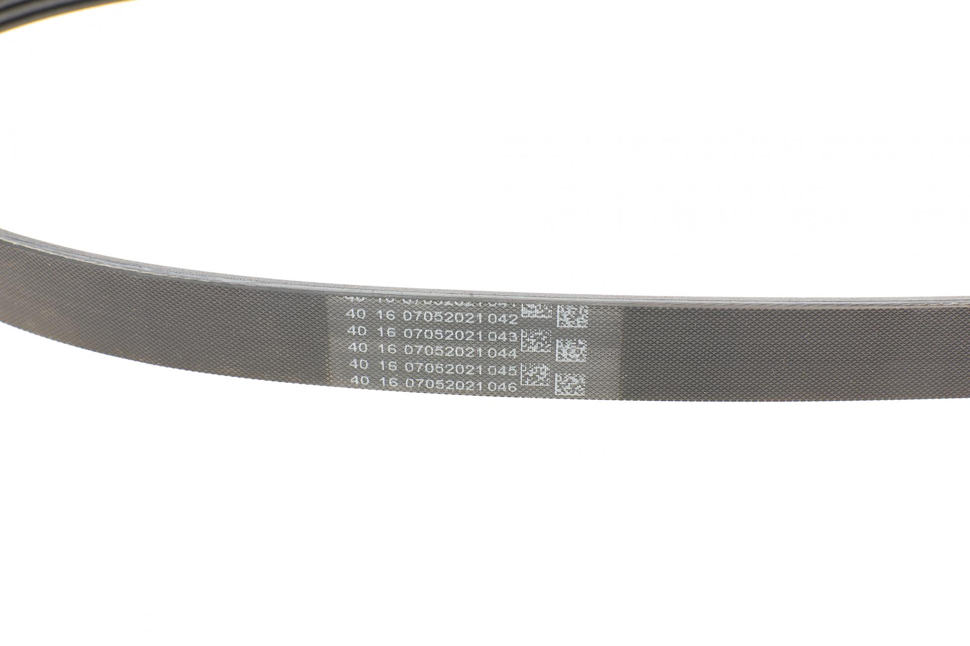 6PK894 CONTITECH