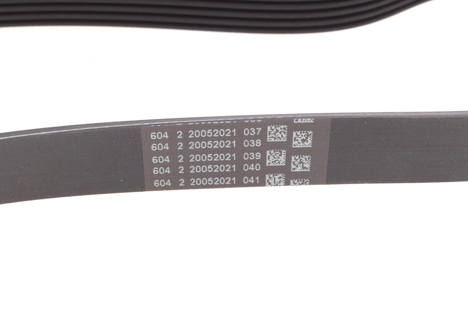 6PK923 CONTITECH