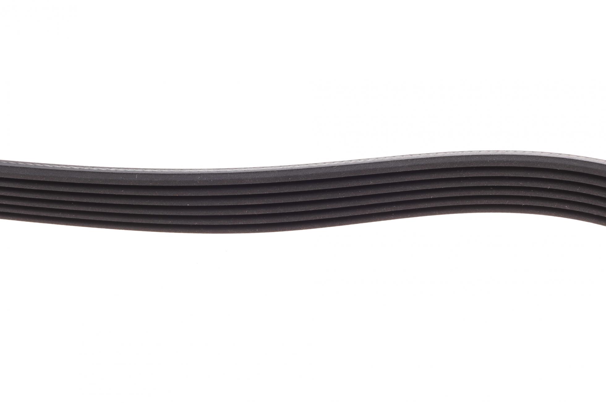 6PK923 CONTITECH