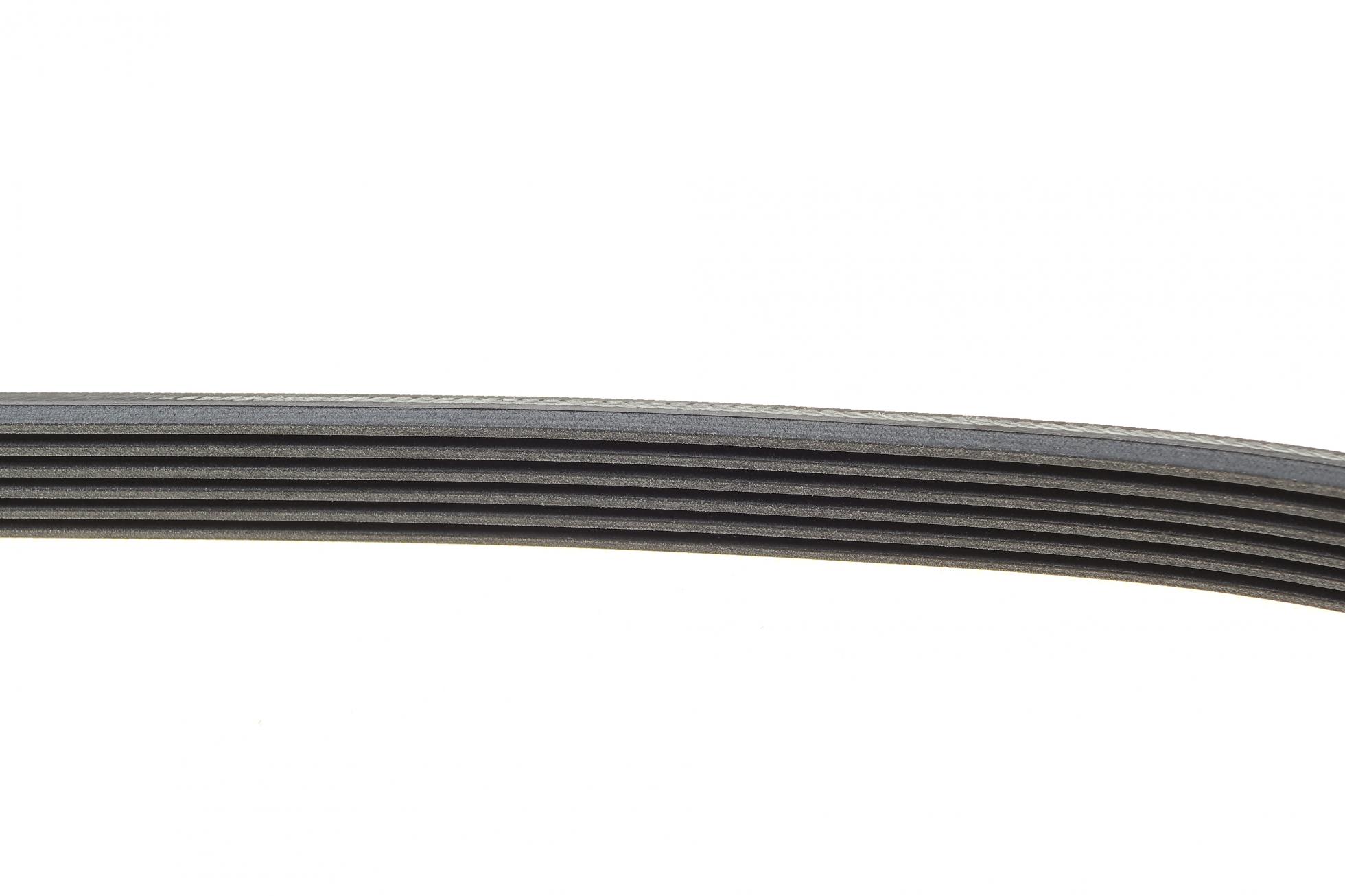 6PK935 CONTITECH