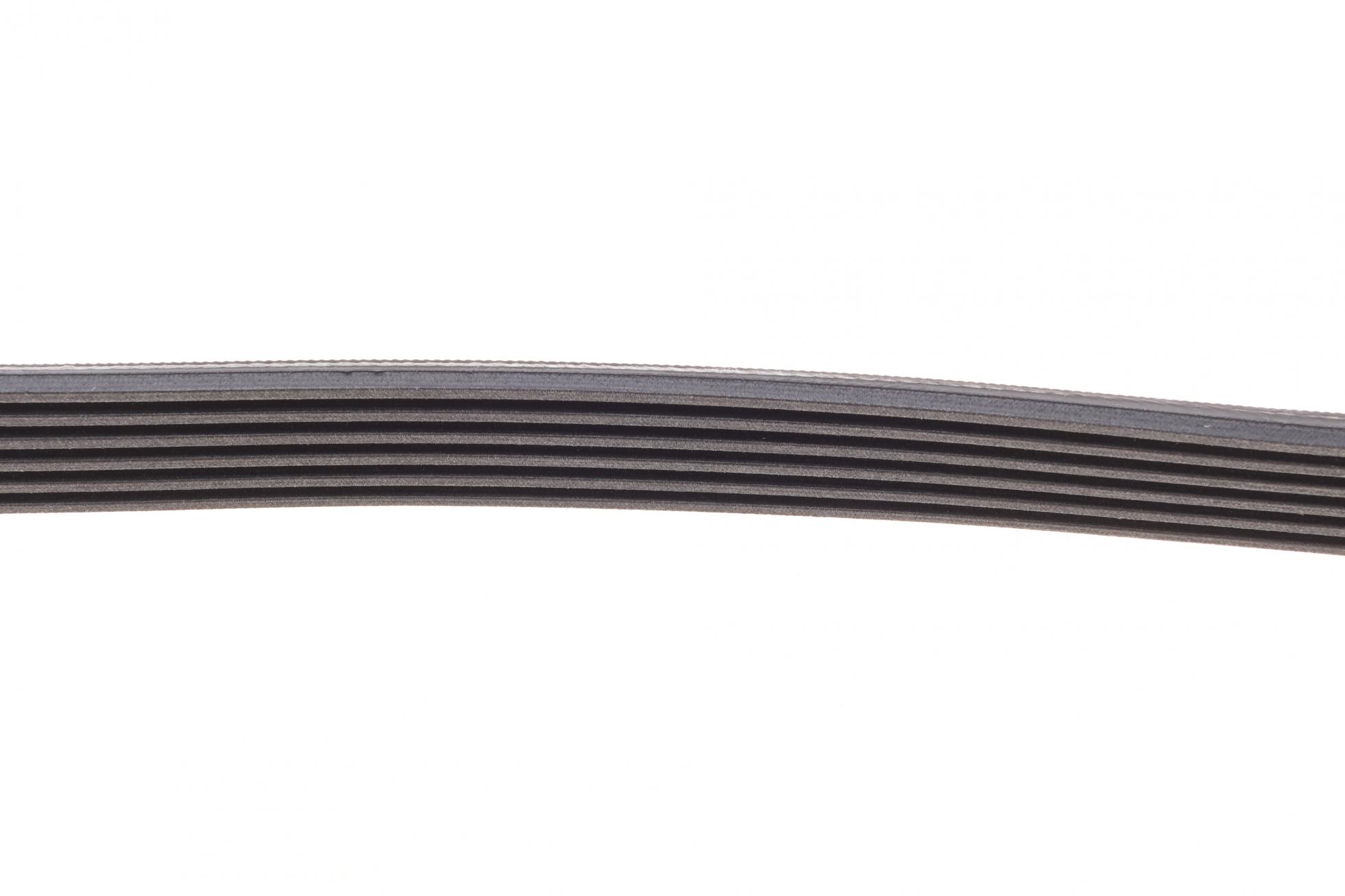 6PK955 CONTITECH