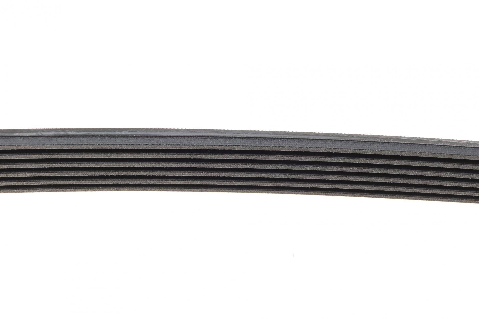 6PK970 CONTITECH