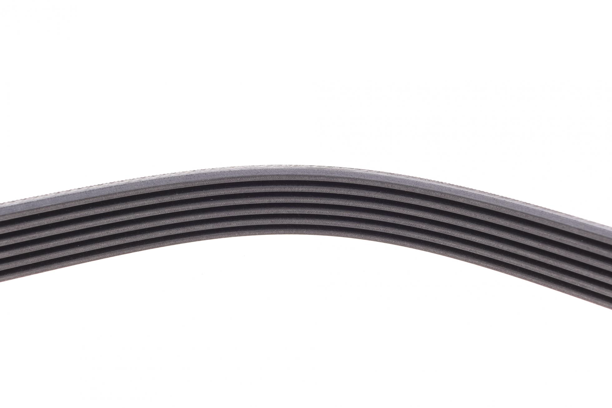 6PK976K1 CONTITECH