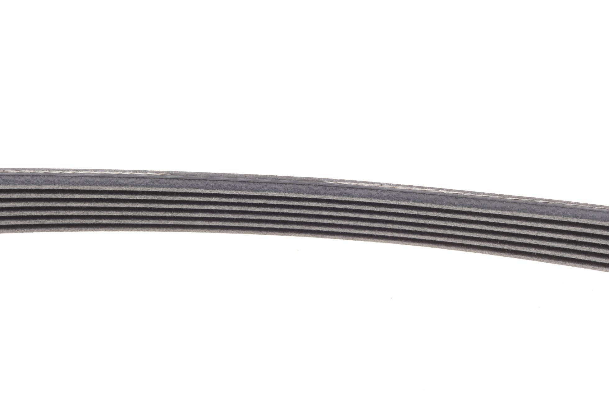6PK989ELAST CONTITECH