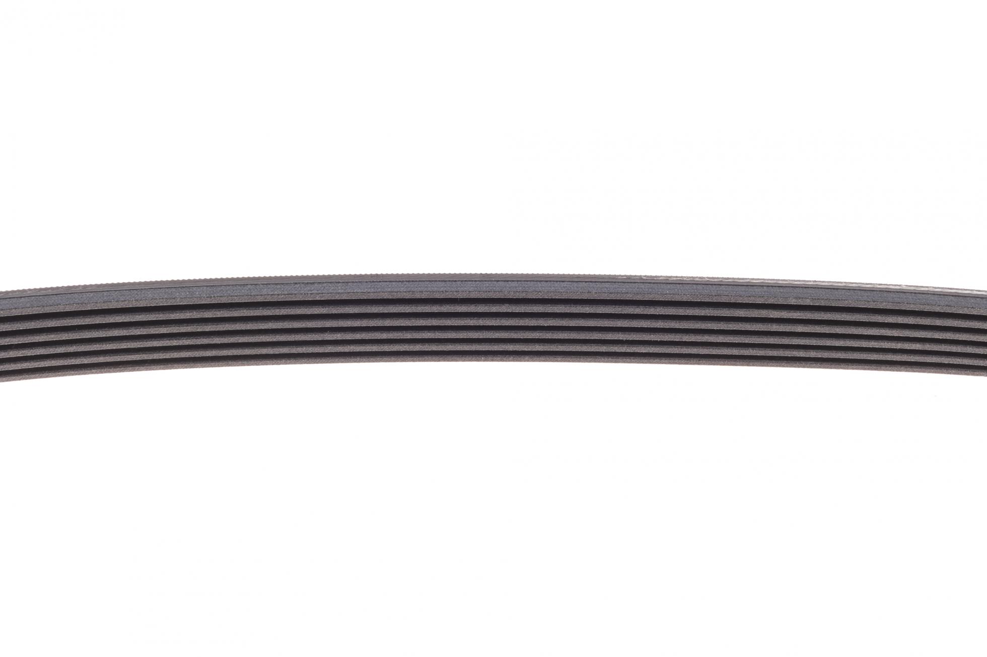6PK995 CONTITECH