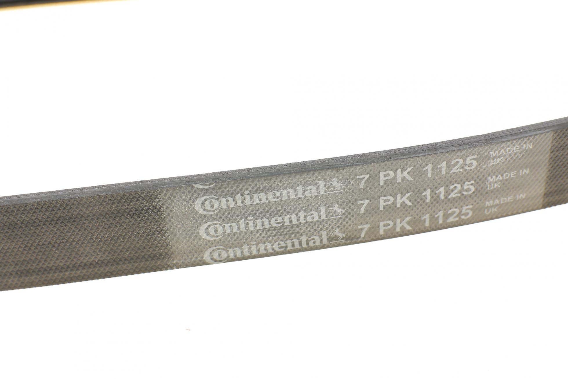 7PK1125 Contitech