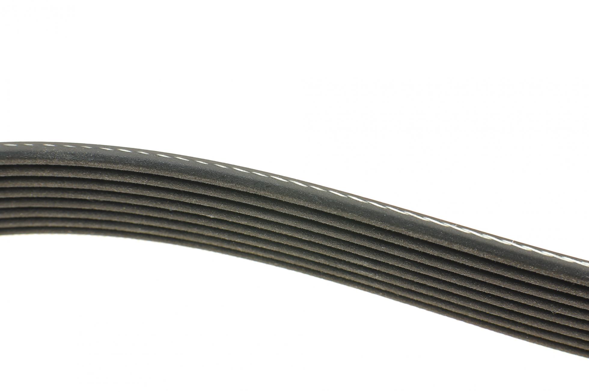 8PK1295 DAYCO