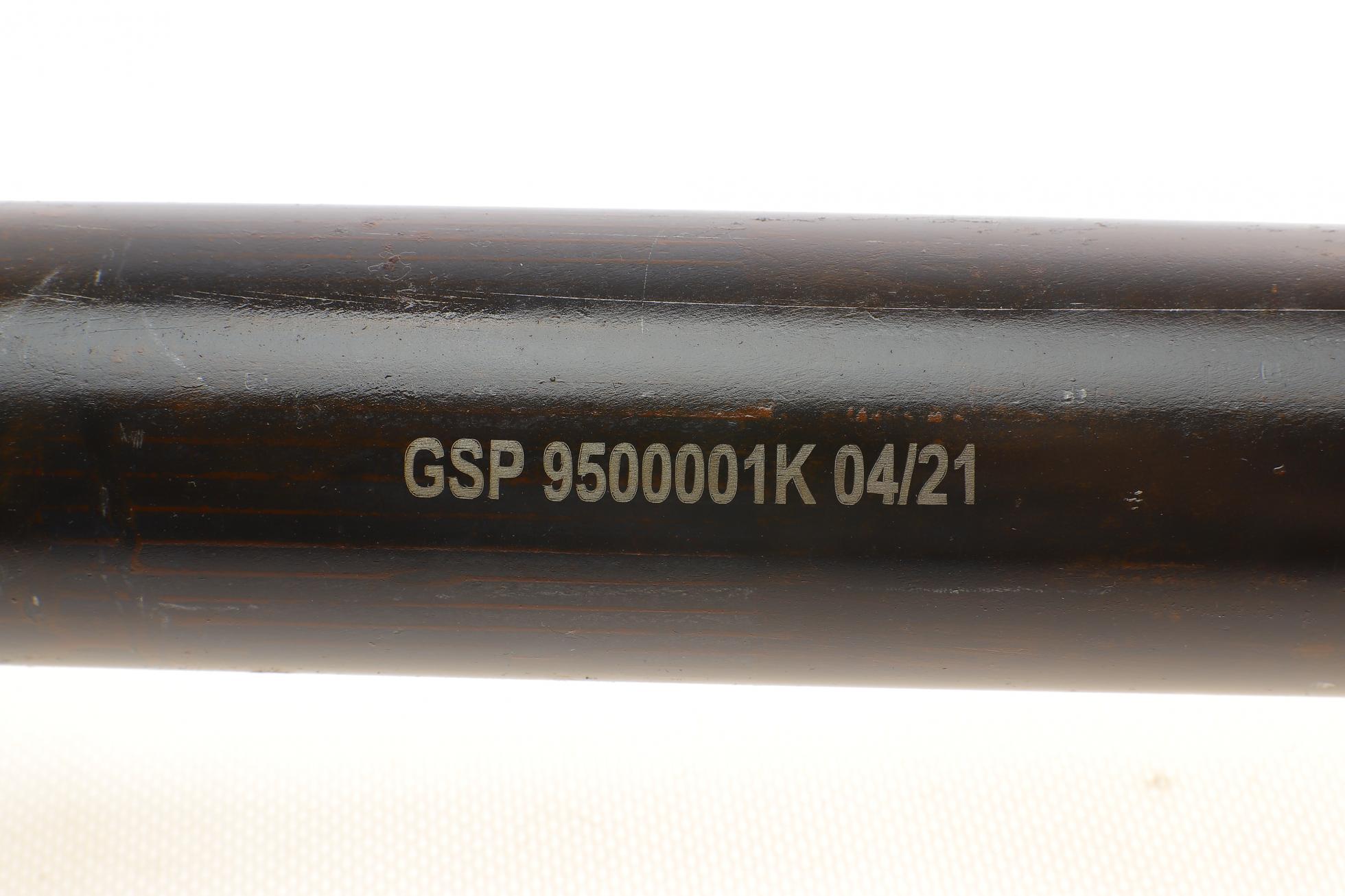 9500001K GSP