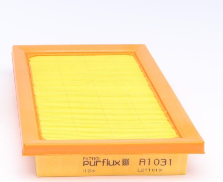 A1031 PURFLUX