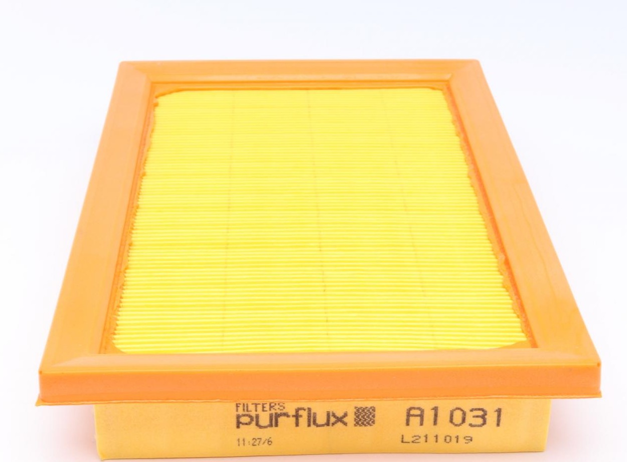A1031 PURFLUX