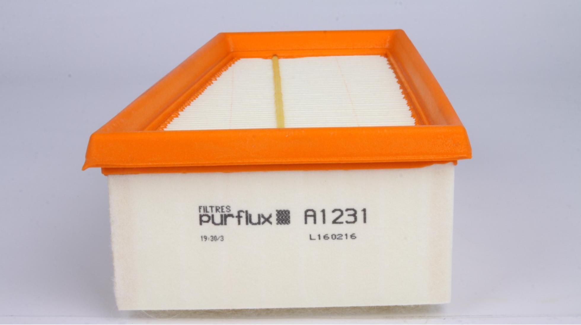 A1231 PURFLUX
